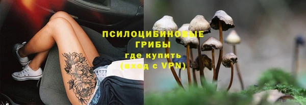 мет Армянск
